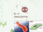1.1 细胞生活的环境课件PPT
