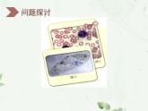 1.1 细胞生活的环境课件PPT