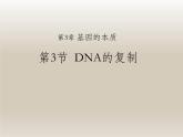 人教版高一生物课件《DNA的复制》