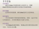 人教版高一生物课件《DNA的复制》