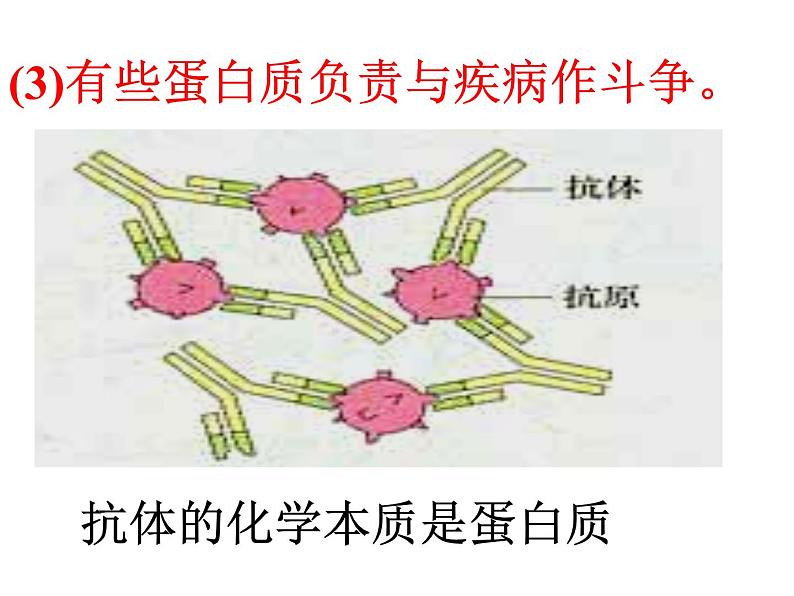 人教版高一生物课件《脂质》第6页