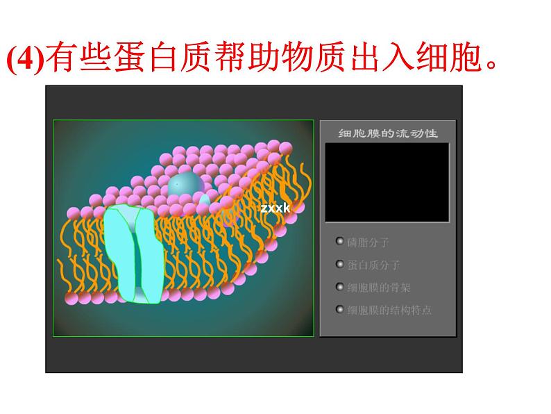 人教版高一生物课件《脂质》第7页