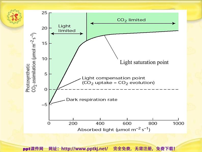 人教版高一生物课件《影响光合作用的因素》第4页