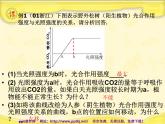 人教版高一生物课件《影响光合作用的因素》