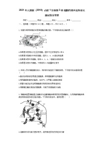 高中生物人教版 (2019)必修1《分子与细胞》第3章 细胞的基本结构综合与测试单元测试练习