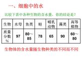 人教版高一生物课件《细胞中的无机物》