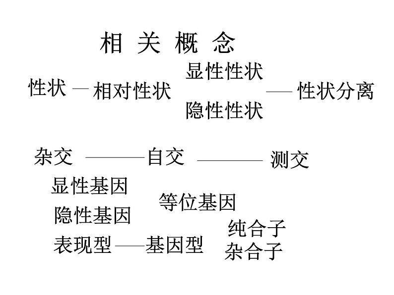 人教版高一生物课件《遗传的基本规律》第2页