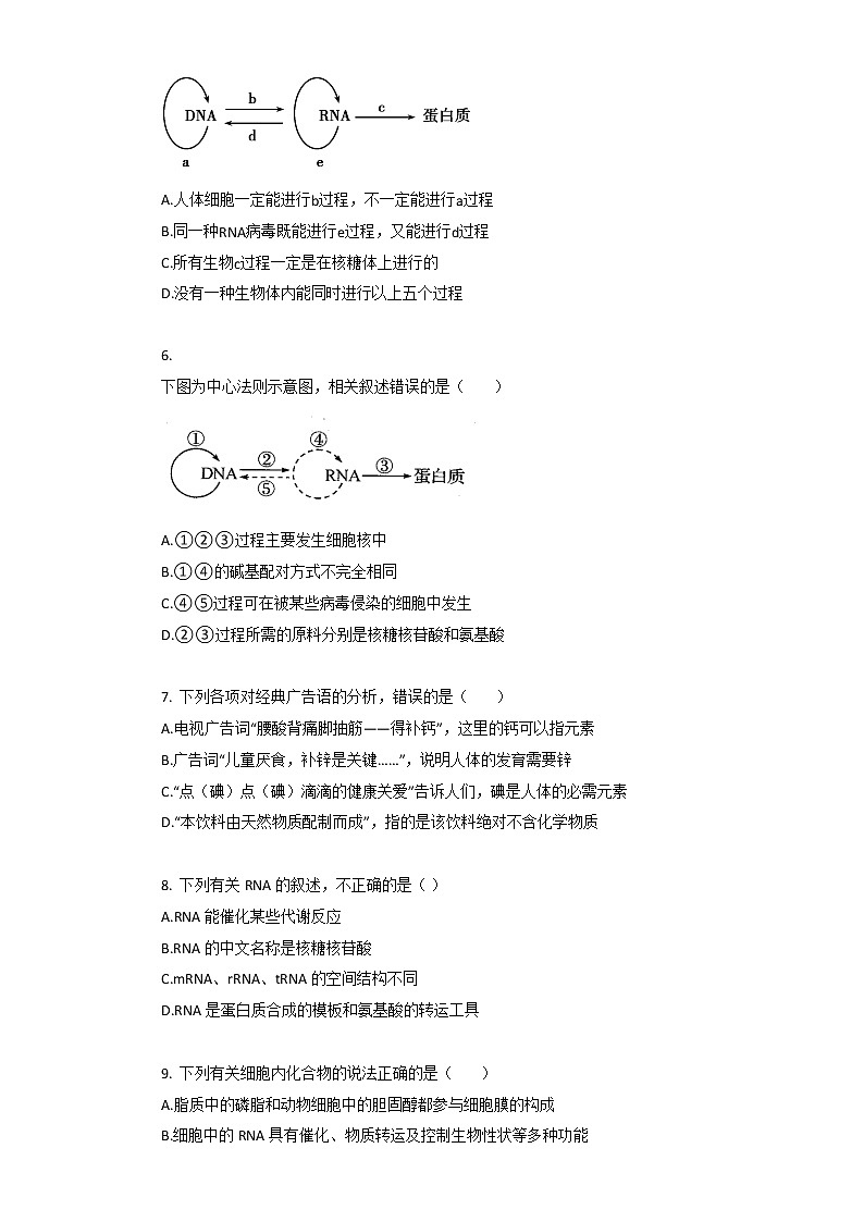 2021年人教版（2019）必修2生物第4章_基因的表达单元测试卷含答案第2页