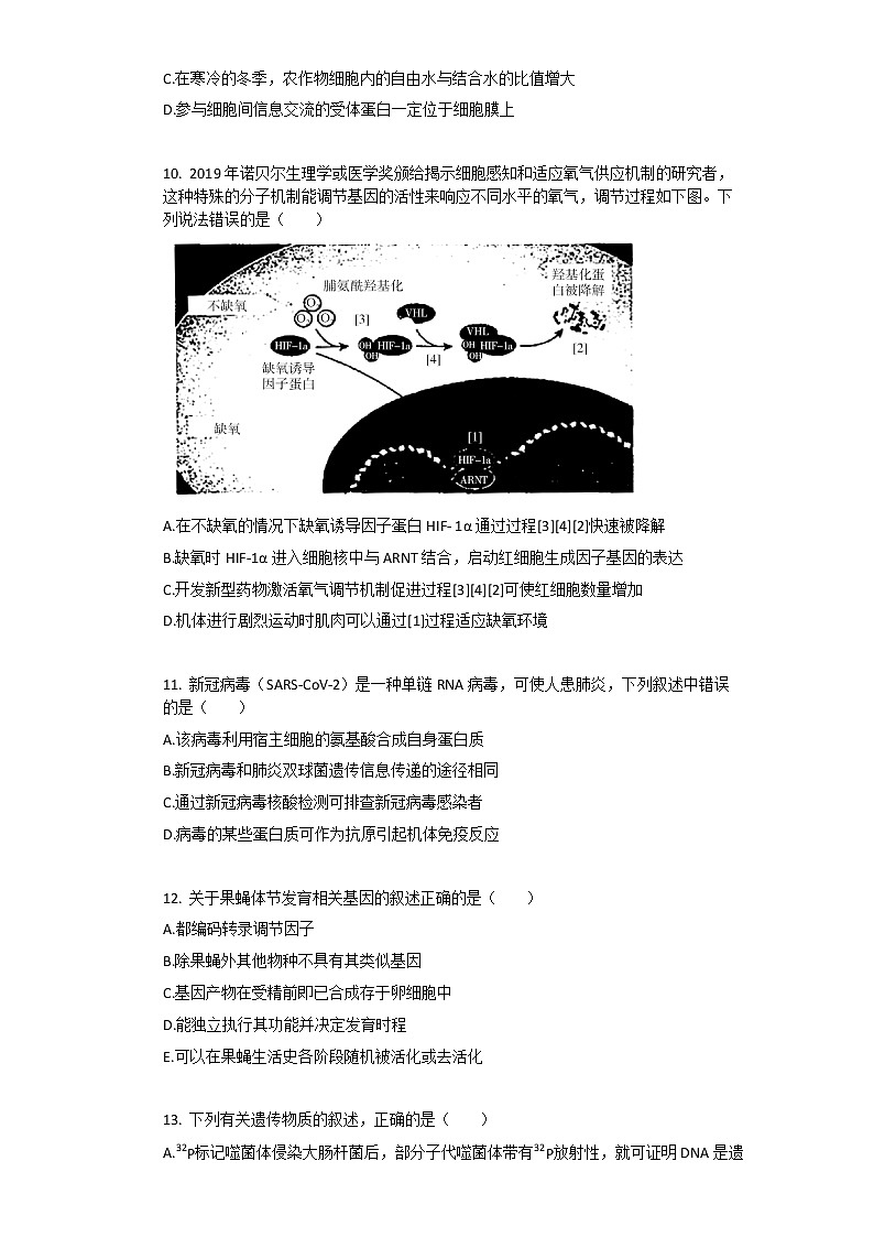 2021年人教版（2019）必修2生物第4章_基因的表达单元测试卷含答案第3页