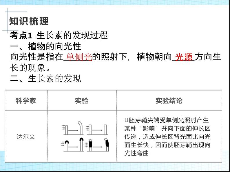 2022届新高考生物一轮复习第七单元 生命活动的调节（5）植物生命活动的调节课件第4页