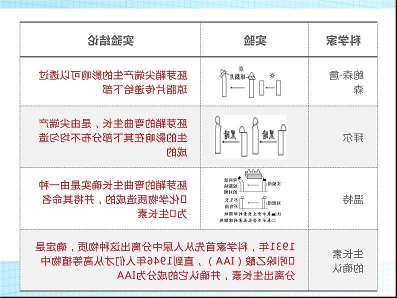 2022届新高考生物一轮复习第七单元 生命活动的调节（5）植物生命活动的调节课件第5页