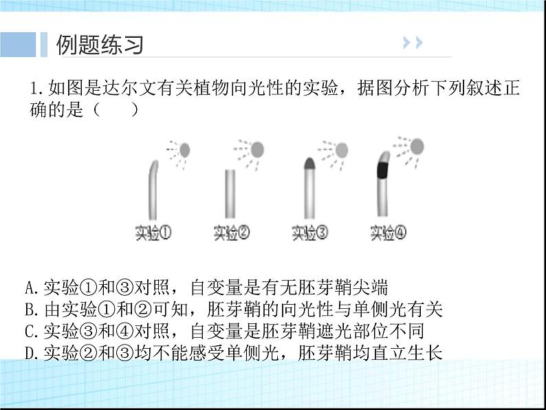 2022届新高考生物一轮复习第七单元 生命活动的调节（5）植物生命活动的调节课件第8页