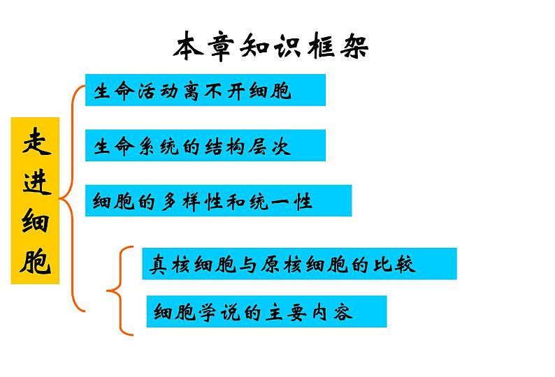 2022届高中生物一轮复习生物课件：1.1走近细胞（2课时）第3页