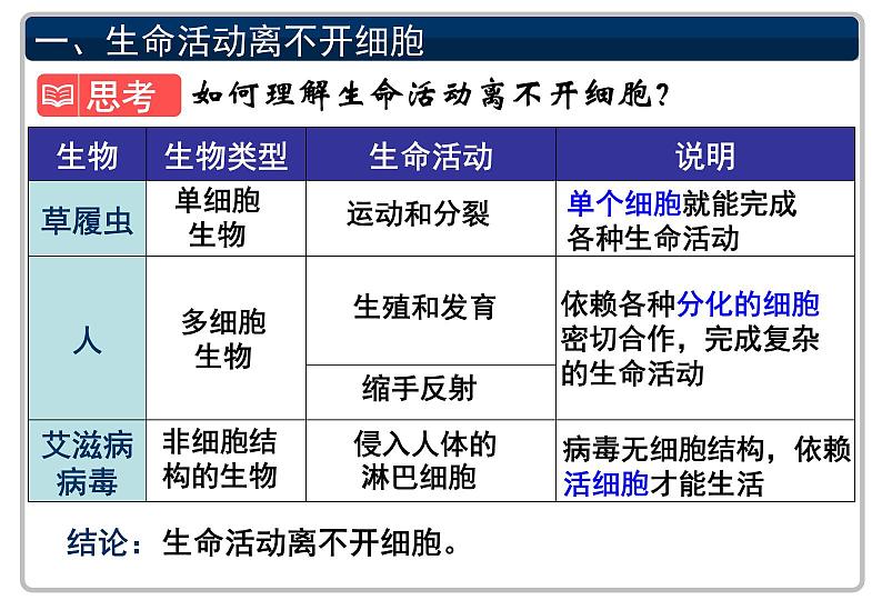 2022届高中生物一轮复习生物课件：1.1走近细胞（2课时）第4页