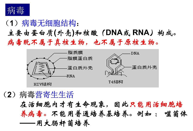 2022届高中生物一轮复习生物课件：1.1走近细胞（2课时）第7页