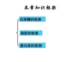 2022届高中生物一轮复习生物课件：1.3检测生物组织中的糖类、脂肪和蛋白质(共17张PPT)