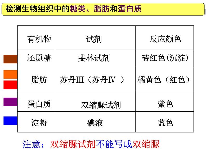 2022届高中生物一轮复习生物课件：1.3检测生物组织中的糖类、脂肪和蛋白质第3页