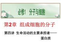 2022届高中生物一轮复习生物课件：1.4蛋白质(共43张PPT)