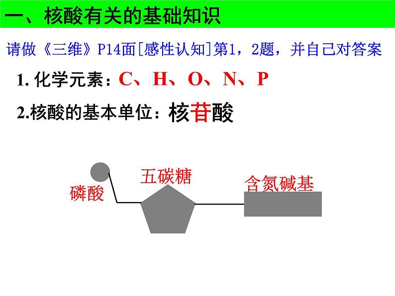 2022届高中生物一轮复习生物课件：1.5核酸、糖类与脂质第3页