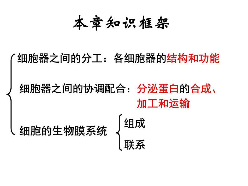 2022届高中生物一轮复习生物课件：2.2 细胞器——系统内的分工合作（3课时）第2页