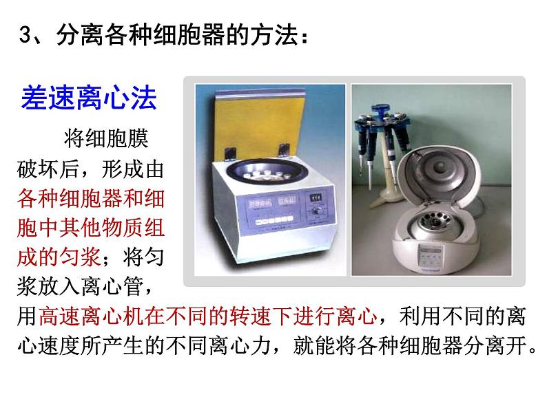 2022届高中生物一轮复习生物课件：2.2 细胞器——系统内的分工合作（3课时）第5页