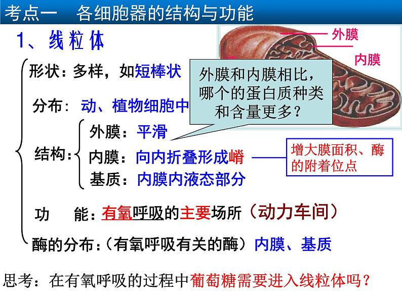 2022届高中生物一轮复习生物课件：2.2 细胞器——系统内的分工合作（3课时）第8页