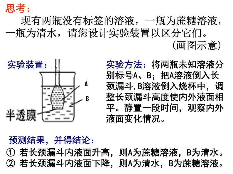 2022届高中生物一轮复习生物课件：2.3物质跨膜运输的实例第3页