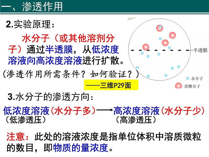 2022届高中生物一轮复习生物课件：2.3物质跨膜运输的实例第5页