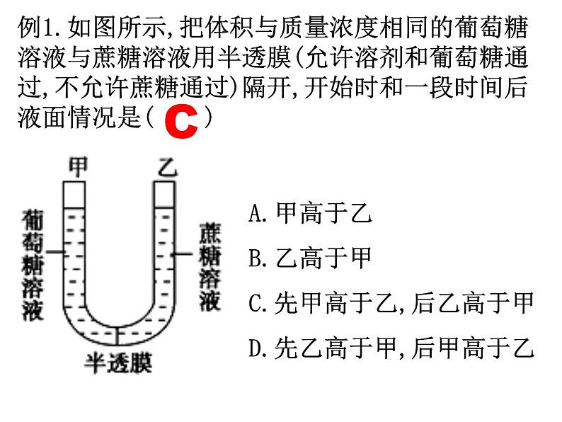 2022届高中生物一轮复习生物课件：2.3物质跨膜运输的实例第6页