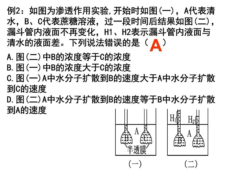 2022届高中生物一轮复习生物课件：2.3物质跨膜运输的实例第8页