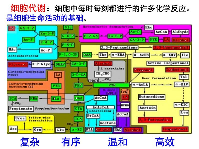 2022届高中生物一轮复习生物课件：3.1降低化学反应活化能的酶第2页