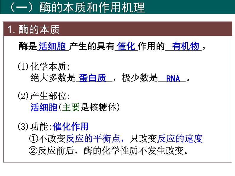 2022届高中生物一轮复习生物课件：3.1降低化学反应活化能的酶第7页