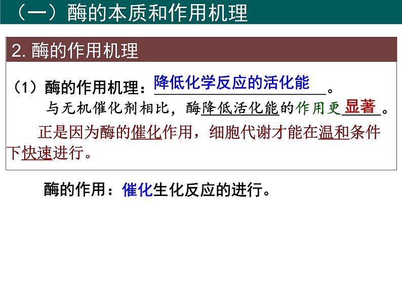 2022届高中生物一轮复习生物课件：3.1降低化学反应活化能的酶第8页