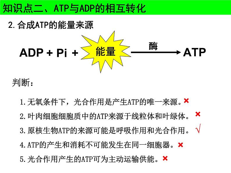 2022届高一轮复习生物课件：3.2 ATP与细胞呼吸（4节上课+3节课习题训练）第8页