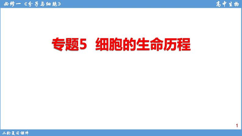 2022届高三二轮复习生物：专题5细胞的生命历程 课件01