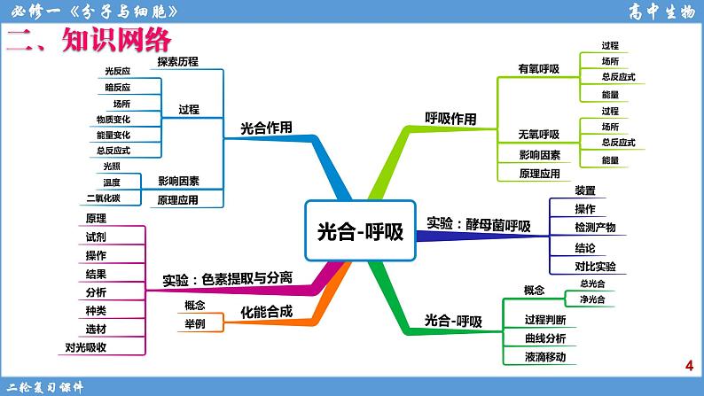 2022届高三二轮复习生物：专题4光合作用和呼吸作用课件第4页