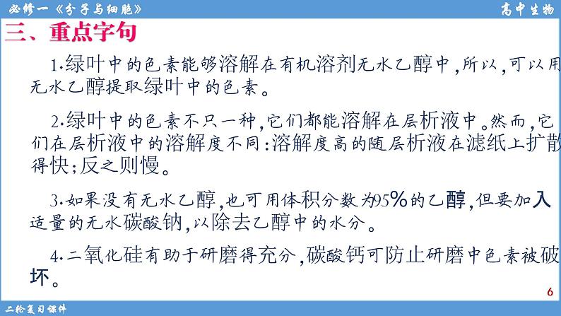 2022届高三二轮复习生物：专题4光合作用和呼吸作用课件第6页