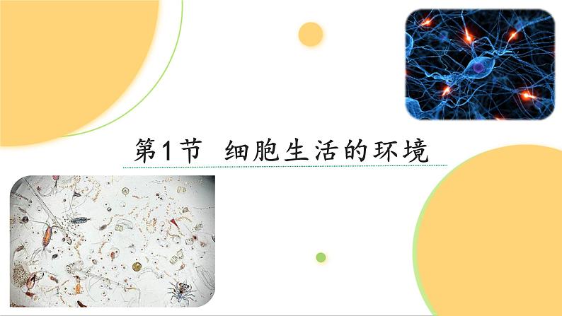 1.1细胞生活的环境课件2021-2022学年高二上学期生物人教版选择性必修一第1页