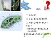1.1细胞生活的环境课件2021-2022学年高二上学期生物人教版选择性必修一