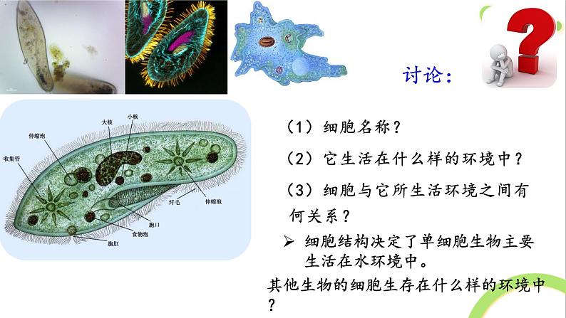 1.1细胞生活的环境课件2021-2022学年高二上学期生物人教版选择性必修一第2页