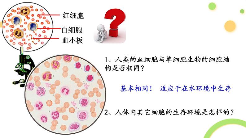 1.1细胞生活的环境课件2021-2022学年高二上学期生物人教版选择性必修一第3页