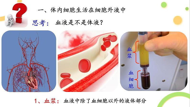 1.1细胞生活的环境课件2021-2022学年高二上学期生物人教版选择性必修一第5页