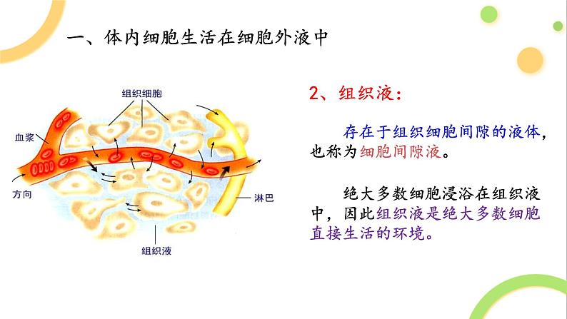 1.1细胞生活的环境课件2021-2022学年高二上学期生物人教版选择性必修一第7页