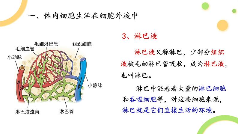 1.1细胞生活的环境课件2021-2022学年高二上学期生物人教版选择性必修一第8页