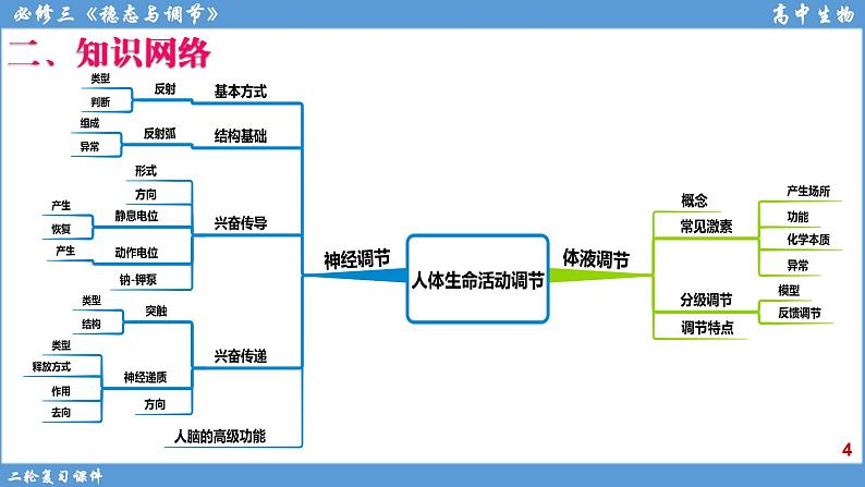 2022届高三二轮复习生物：专题9人体生命活动调节课件第4页