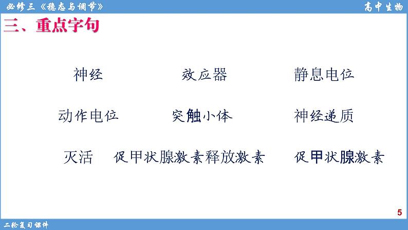 2022届高三二轮复习生物：专题9人体生命活动调节课件第5页