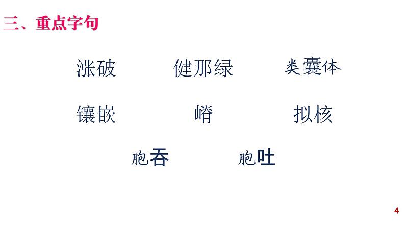 2022届高三二轮复习生物：专题2细胞的结构课件第4页