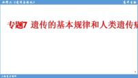 2022届高三二轮复习生物：专题7遗传的基本规律和人类遗传病课件