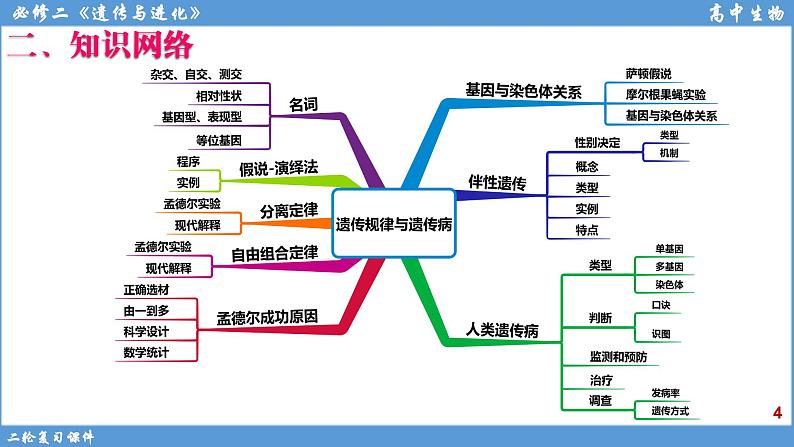 2022届高三二轮复习生物：专题7遗传的基本规律和人类遗传病课件第4页