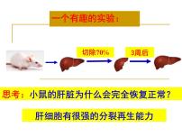 人教版 (新课标)必修1《分子与细胞》第1节 细胞的增殖课前预习ppt课件